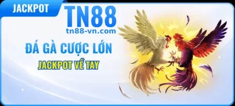Khuyến Mãi TN88 – Nhận Thưởng Hấp Dẫn, Tăng Thêm Trải Nghiệm